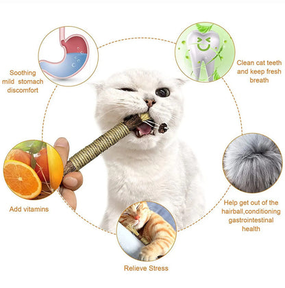 Healthy Cat Stick