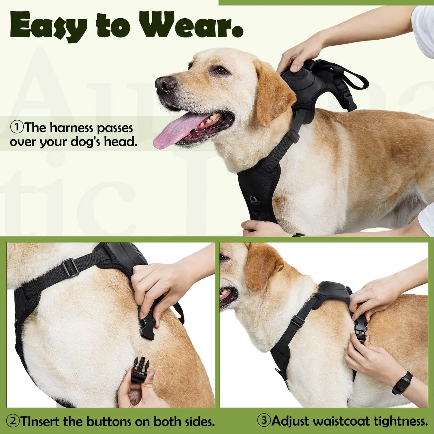 Expressive Dog Harness